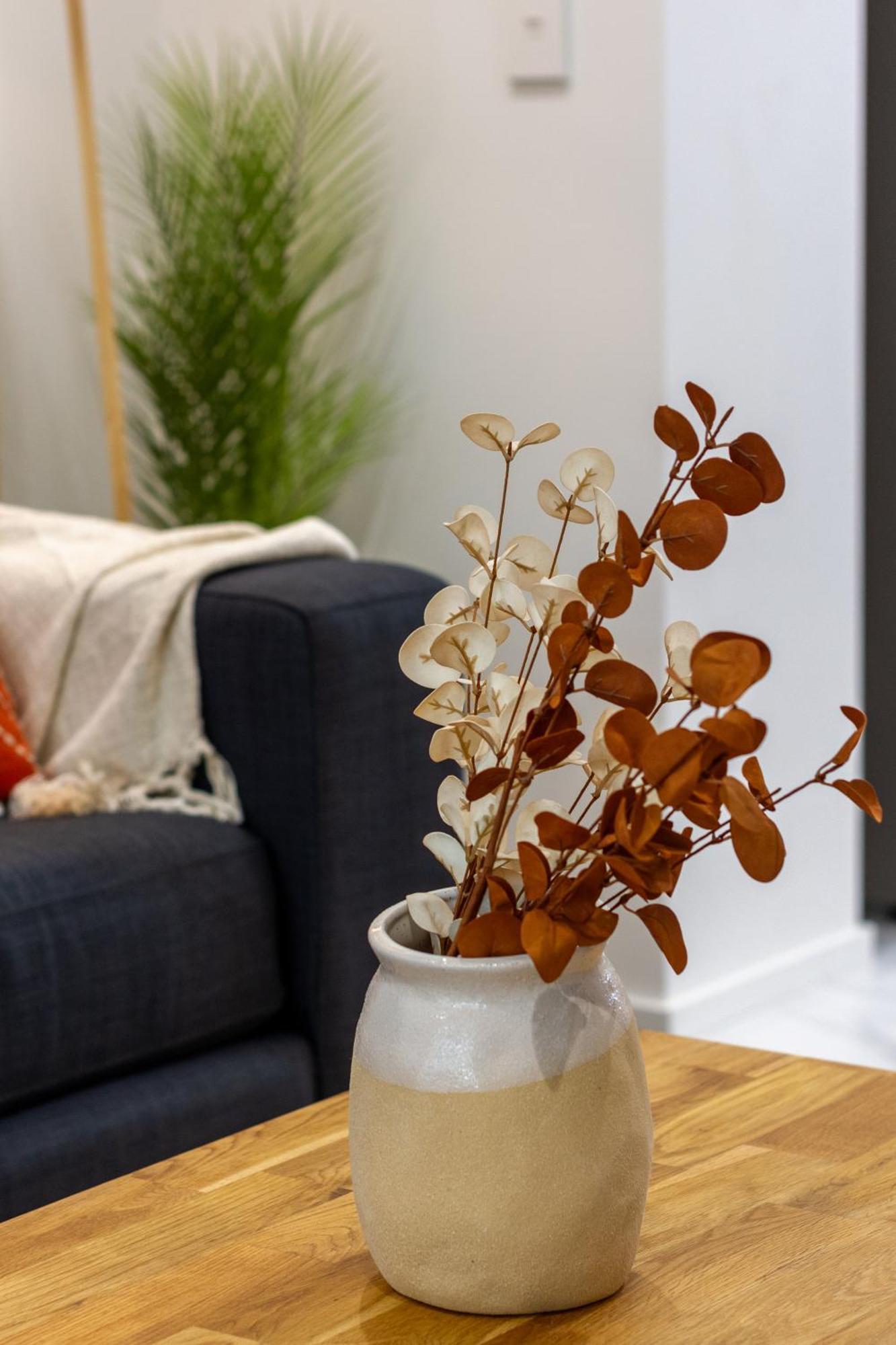 Modern City Lifestyle: 2 Bedroom 1 Bath Κράισττσερτς Εξωτερικό φωτογραφία